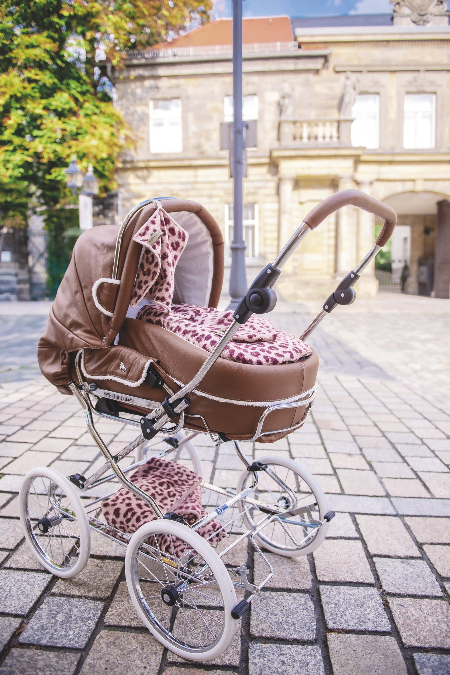Pacifier Cloth – Wild Leo